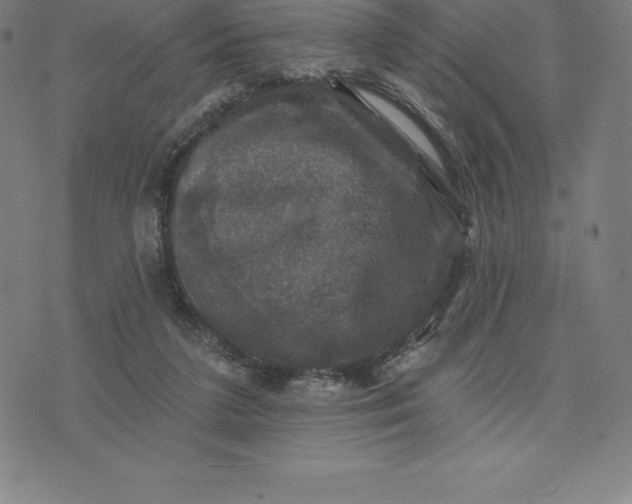 X0000074040211200609111747