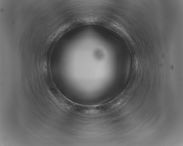 X0000074040212200609111747