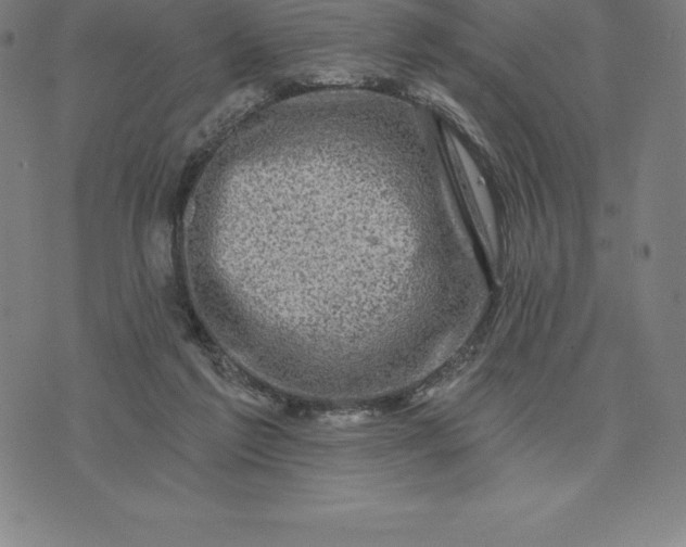 X0000074040213200609111747