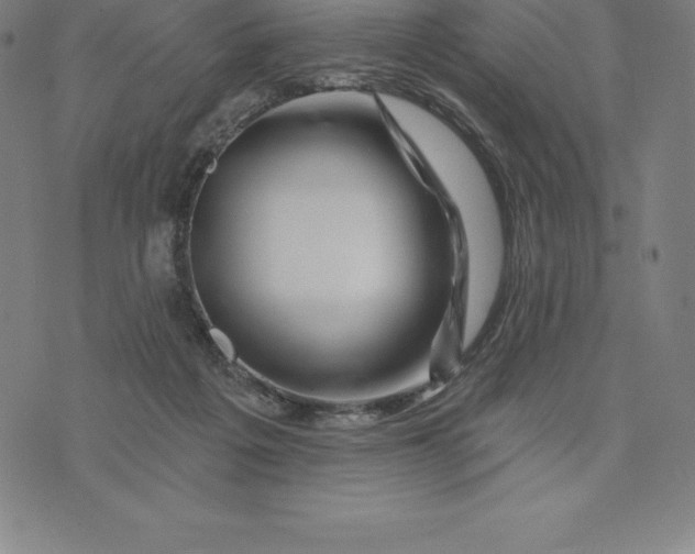 X0000074040217200609111747