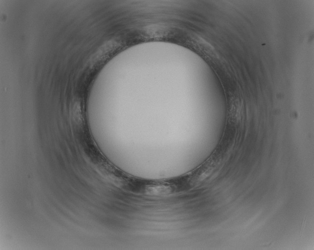 X0000074040220200609111747