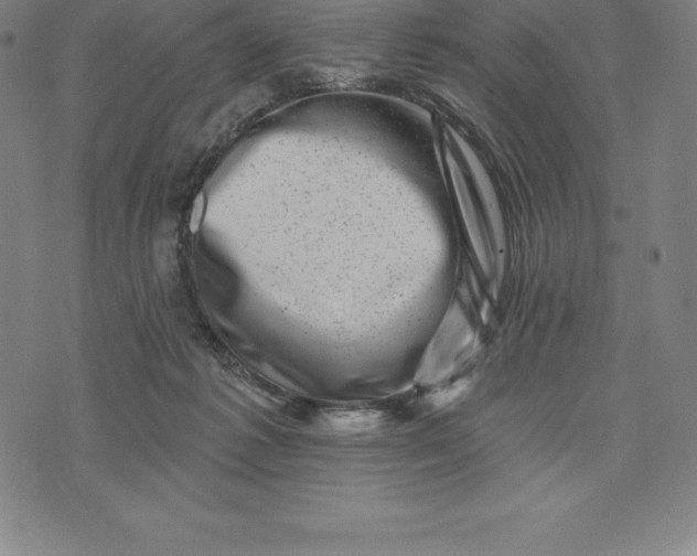 X0000074040221200609111747