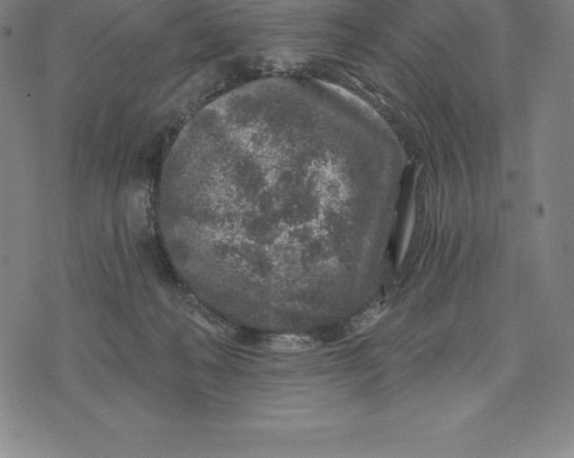 X0000074040222200609111747