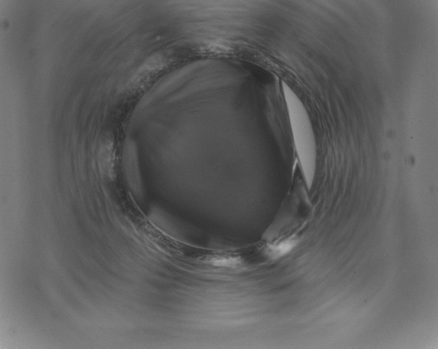 X0000074040223200609111747