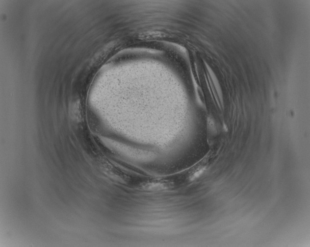 X0000074040224200609111747