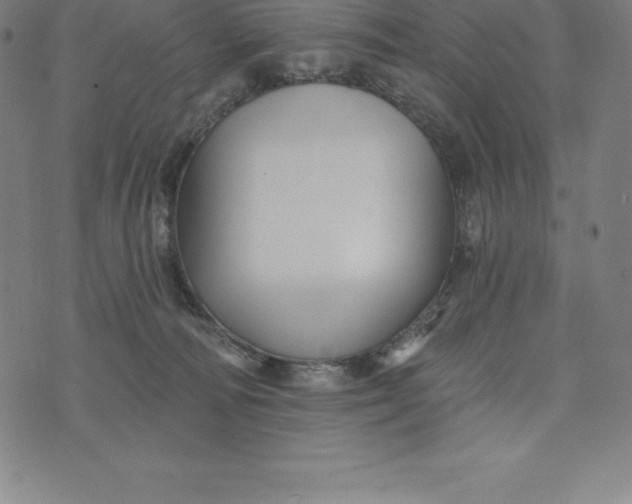 X0000074040226200609111747