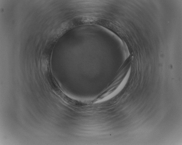 X0000074040227200609111747