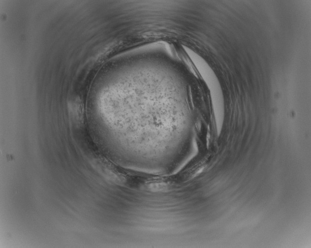 X0000074040228200609111747