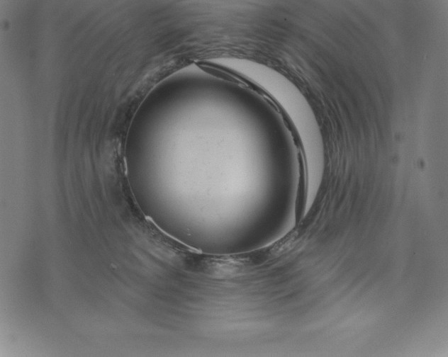 X0000074040229200609111747