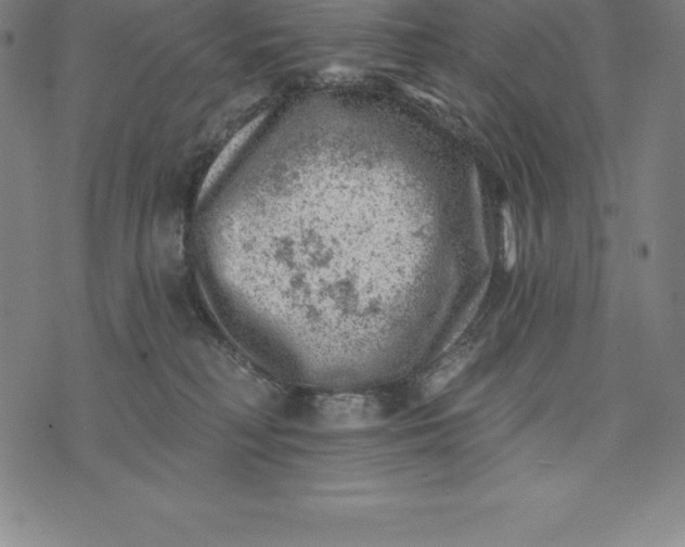 X0000074040230200609111747