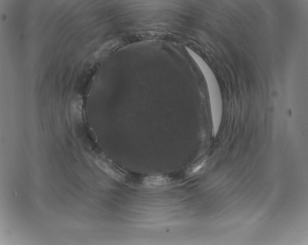 X0000074040231200609111747