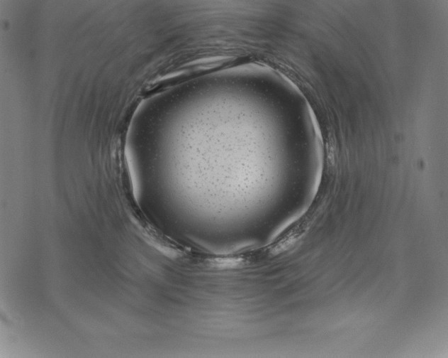 X0000074040233200609111747