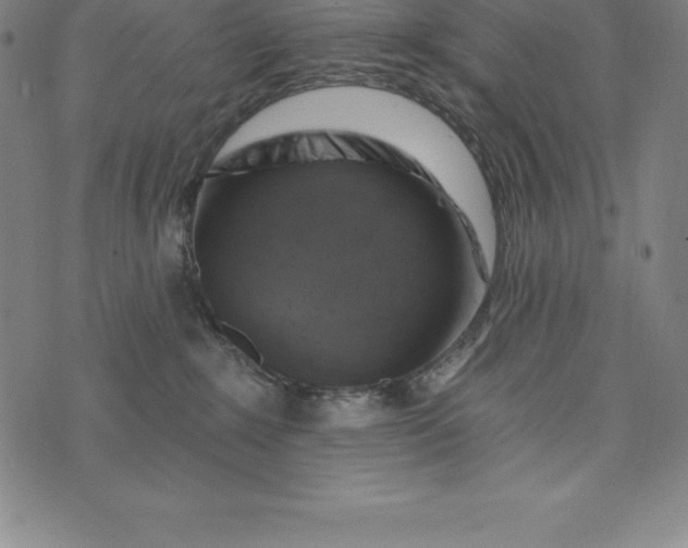 X0000074040235200609111747