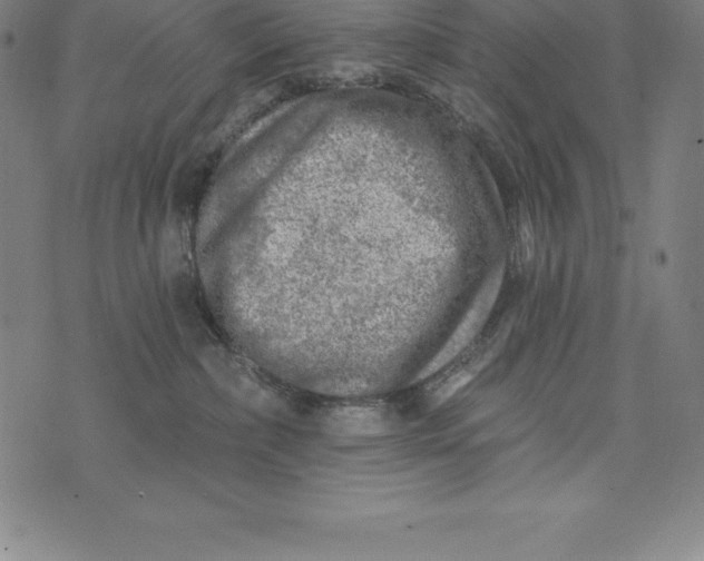 X0000074040236200609111747