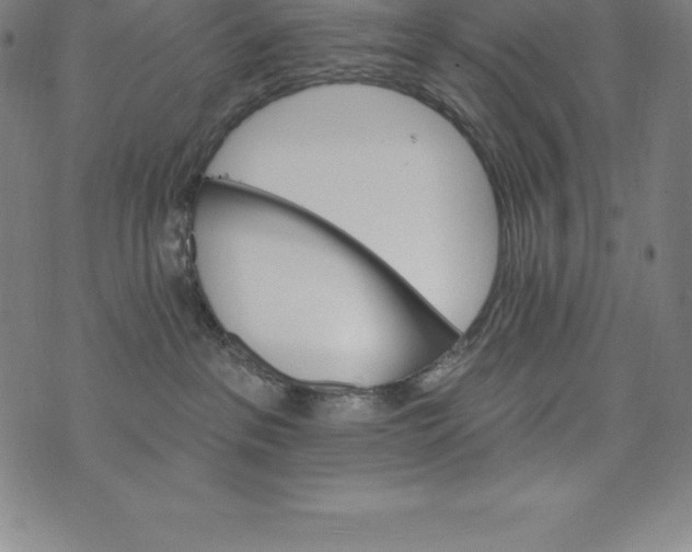 X0000074040237200609111747