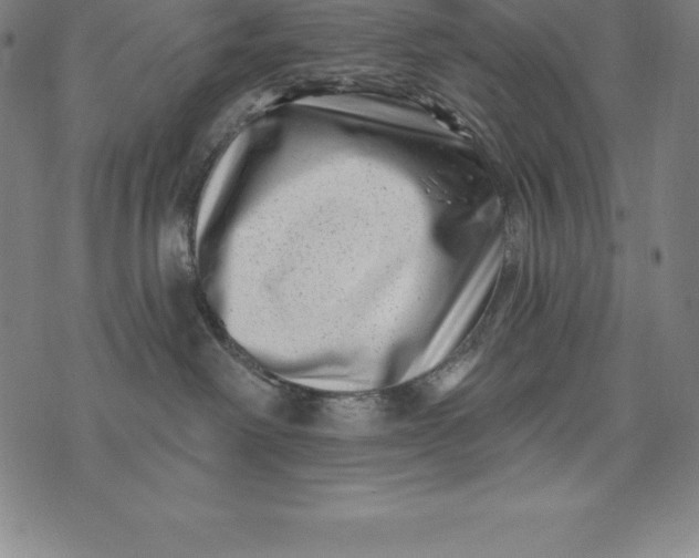 X0000074040238200609111747