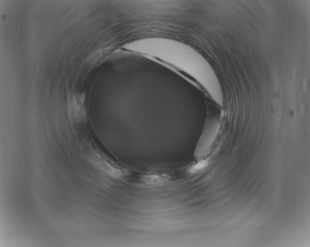 X0000074040239200609111747