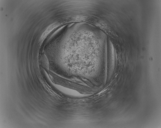 X0000074040242200609111746