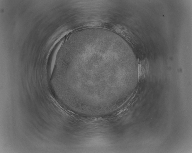 X0000074040243200609111746