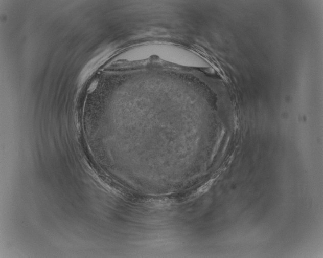 X0000074040245200609111746