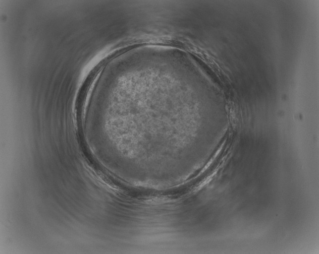 X0000074040246200609111746