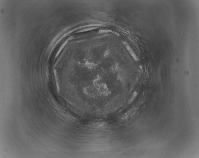 X0000074040247200609111746