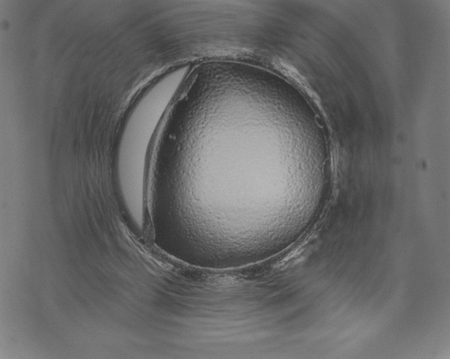 X0000074040249200609111746