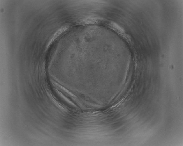 X0000074040250200609111746