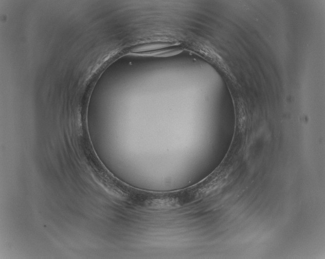 X0000074040251200609111746