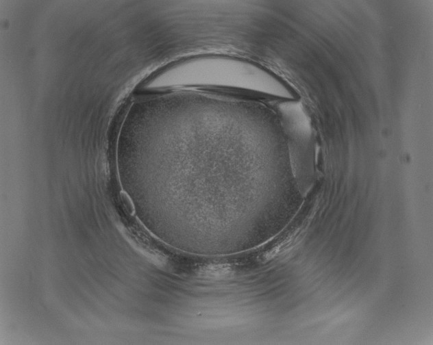 X0000074040252200609111746