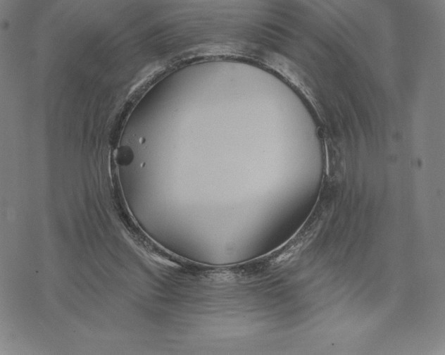 X0000074040253200609111746