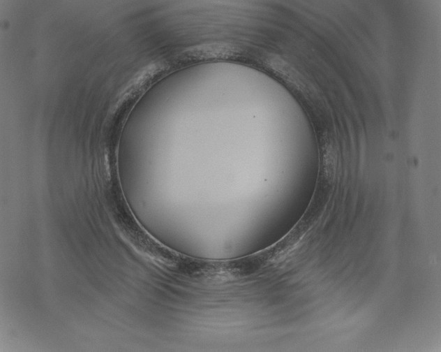 X0000074040254200609111746