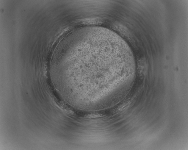 X0000074040255200609111746