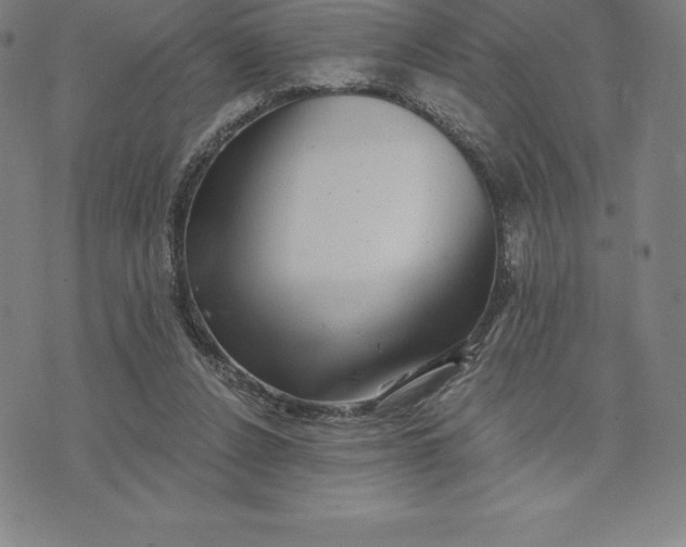 X0000074040256200609111746