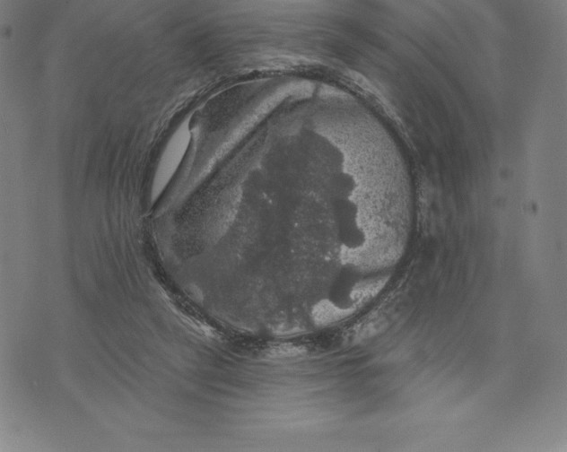 X0000074040257200609111746