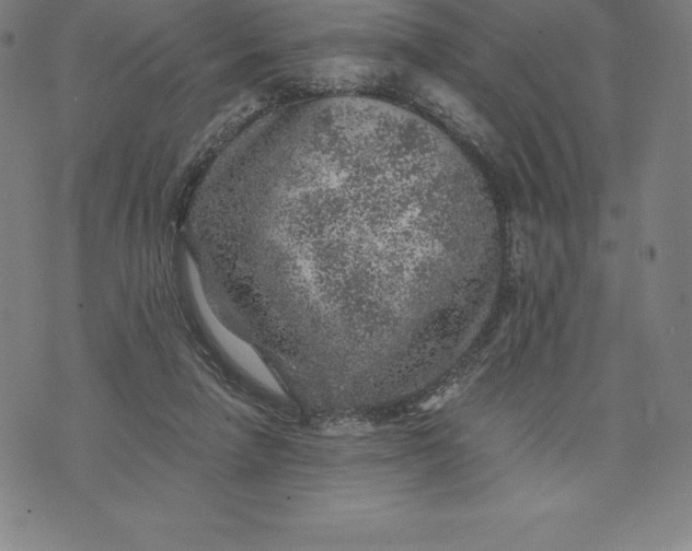 X0000074040258200609111746