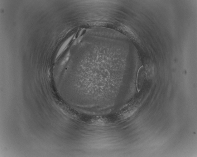 X0000074040259200609111746