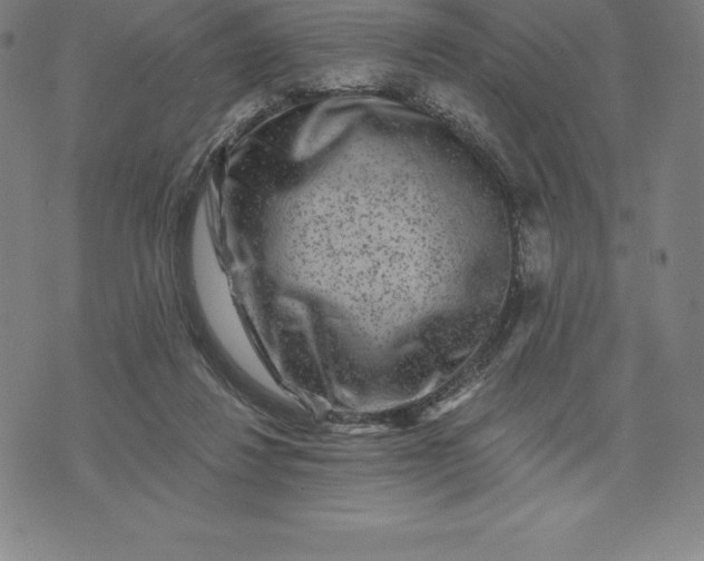 X0000074040260200609111746