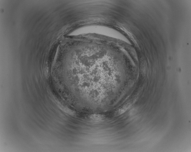 X0000074040261200609111746