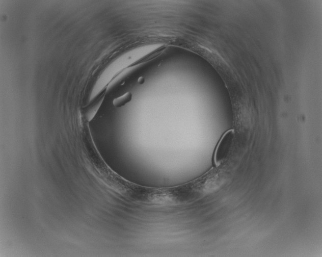 X0000074040262200609111746