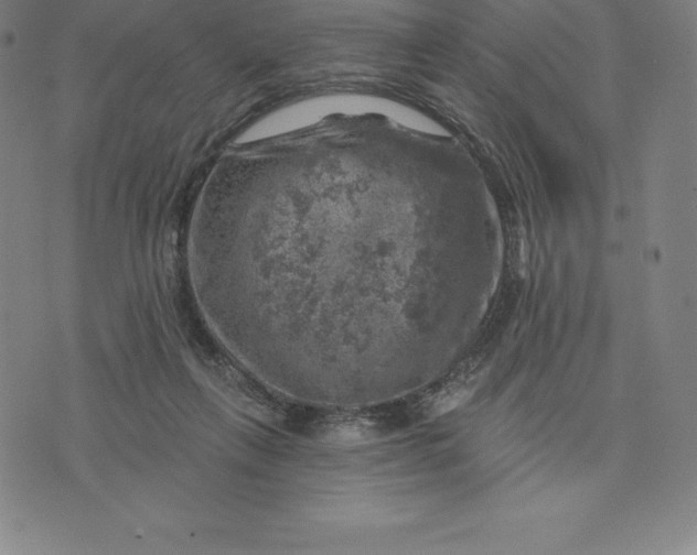 X0000074040263200609111746