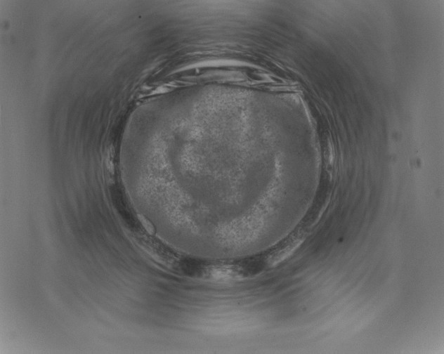 X0000074040264200609111746