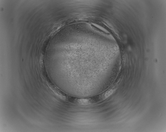 X0000074040265200609111746