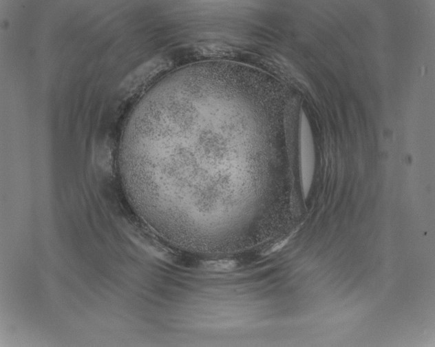 X0000074040266200609111746