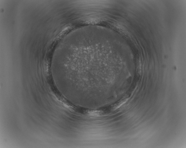 X0000074040268200609111746