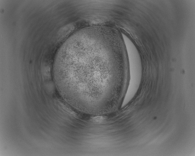 X0000074040269200609111746