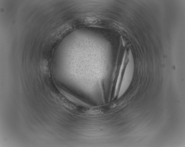 X0000074040270200609111746