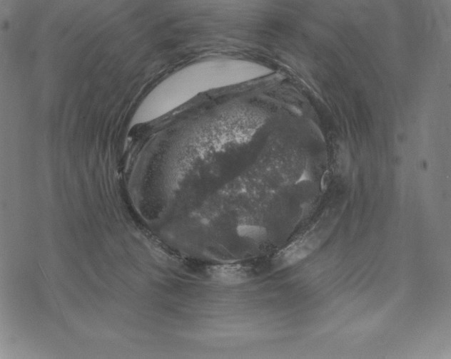 X0000074040273200609111746