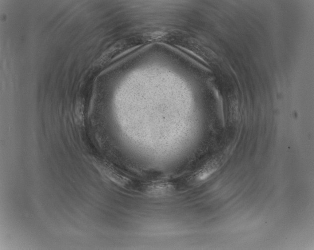 X0000074040274200609111746