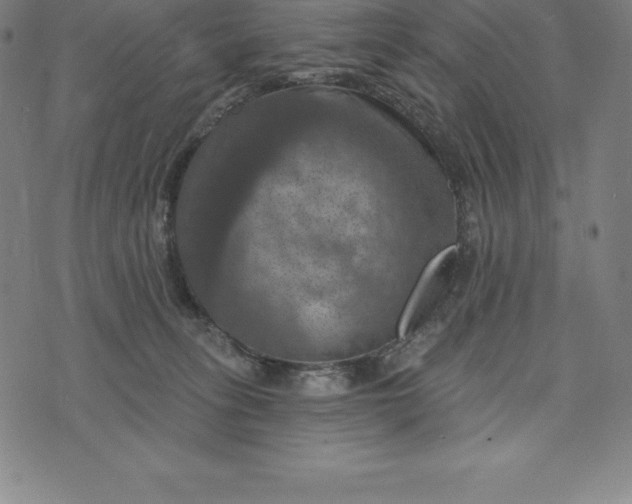 X0000074040275200609111746